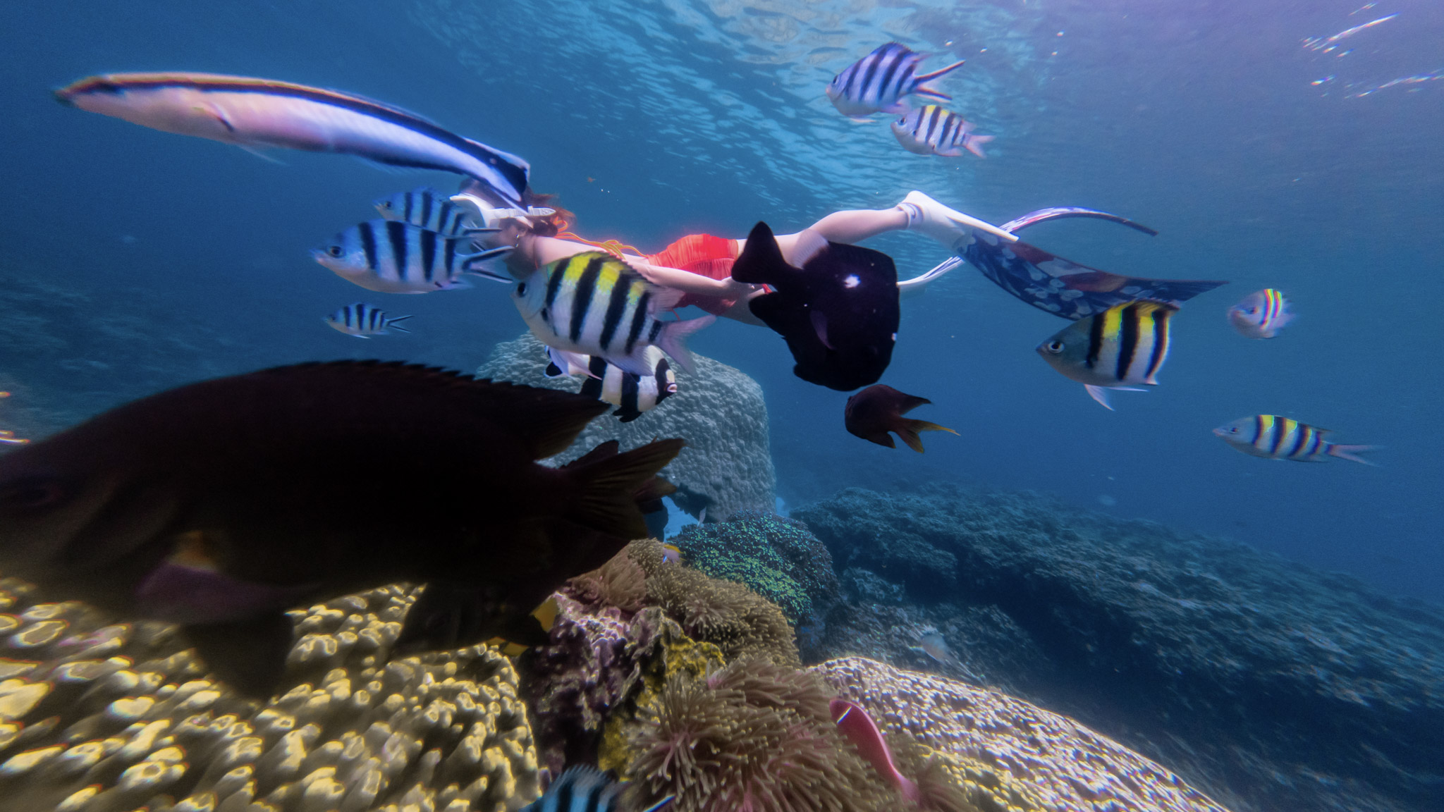 NHA TRANG SNORKELING AT MUN ISLAND & FOAM PARTY 1 DAY